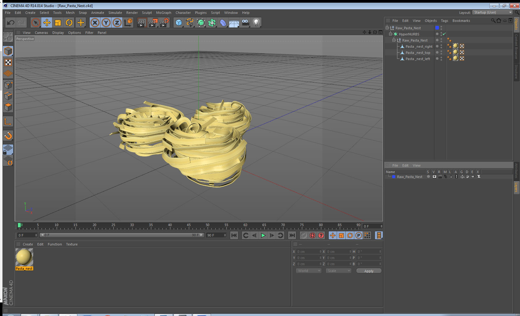 Raw Pasta Nest 3D model