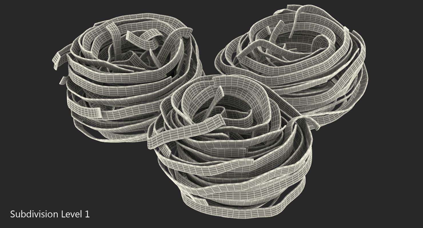 Raw Pasta Nest 3D model
