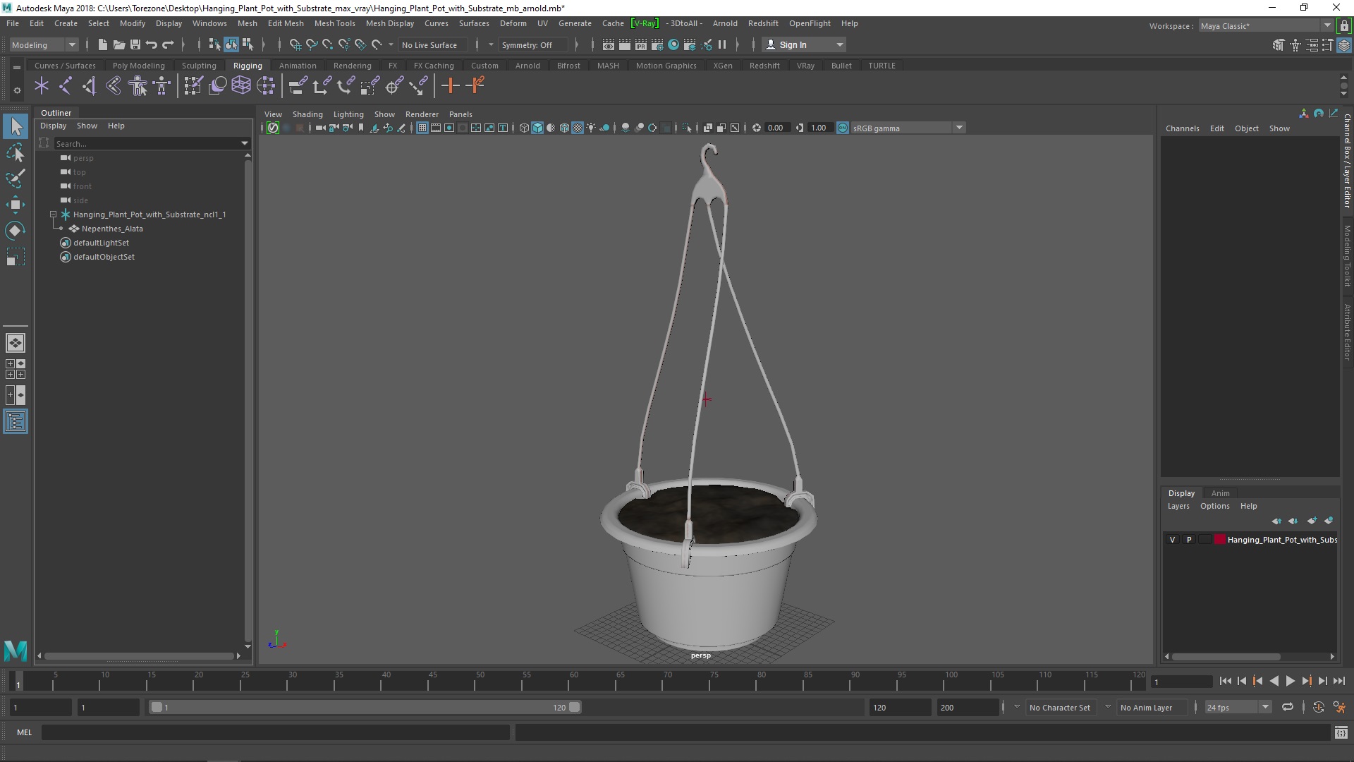 Hanging Plant Pot with Substrate 3D