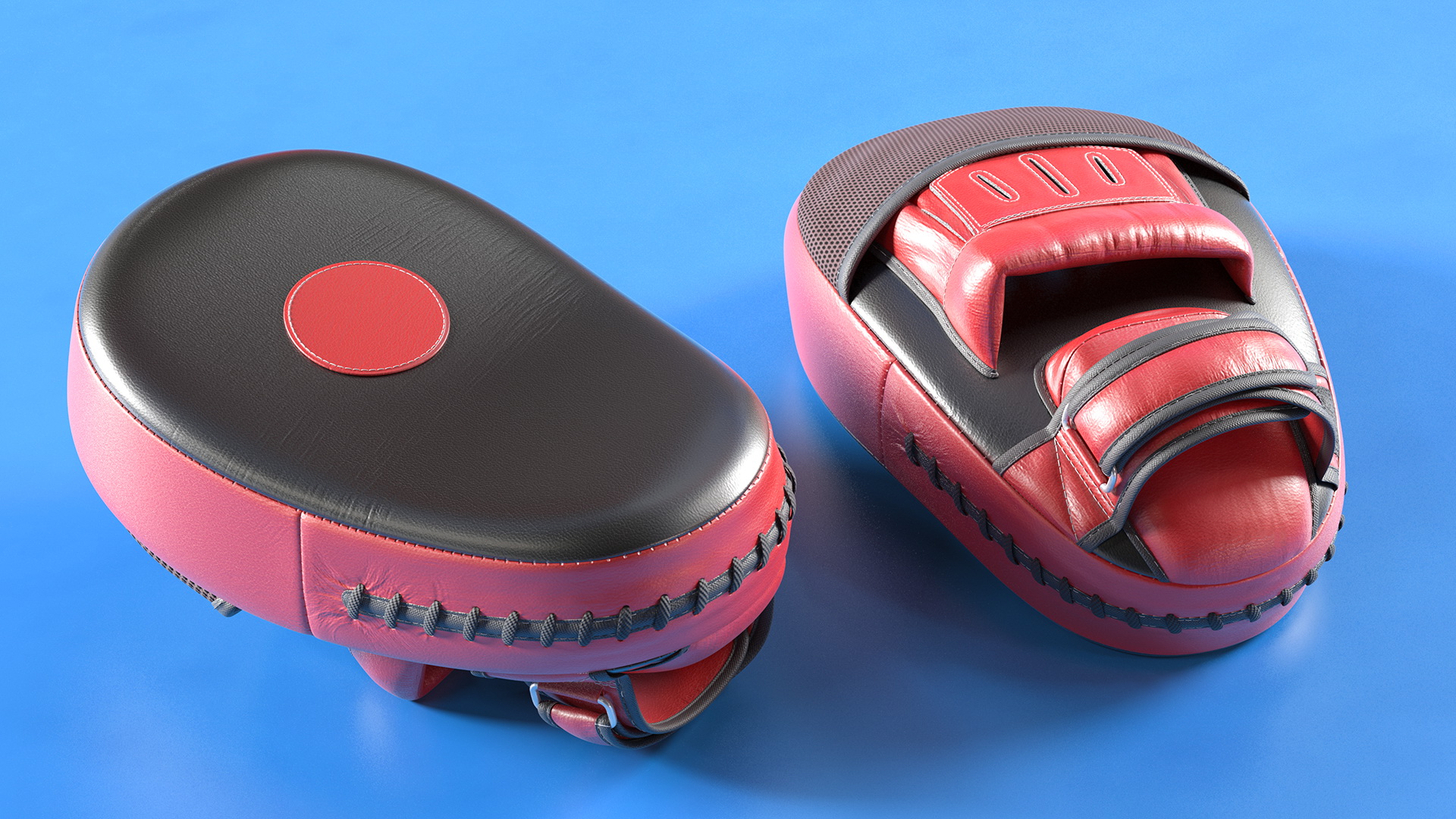 Leather Boxing Paws 3D model