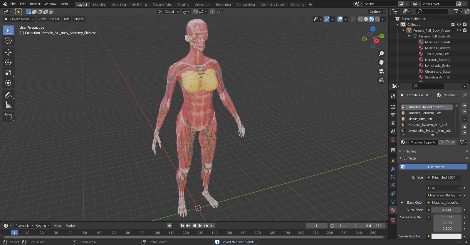 3D Female Full Body Anatomy Skinless model