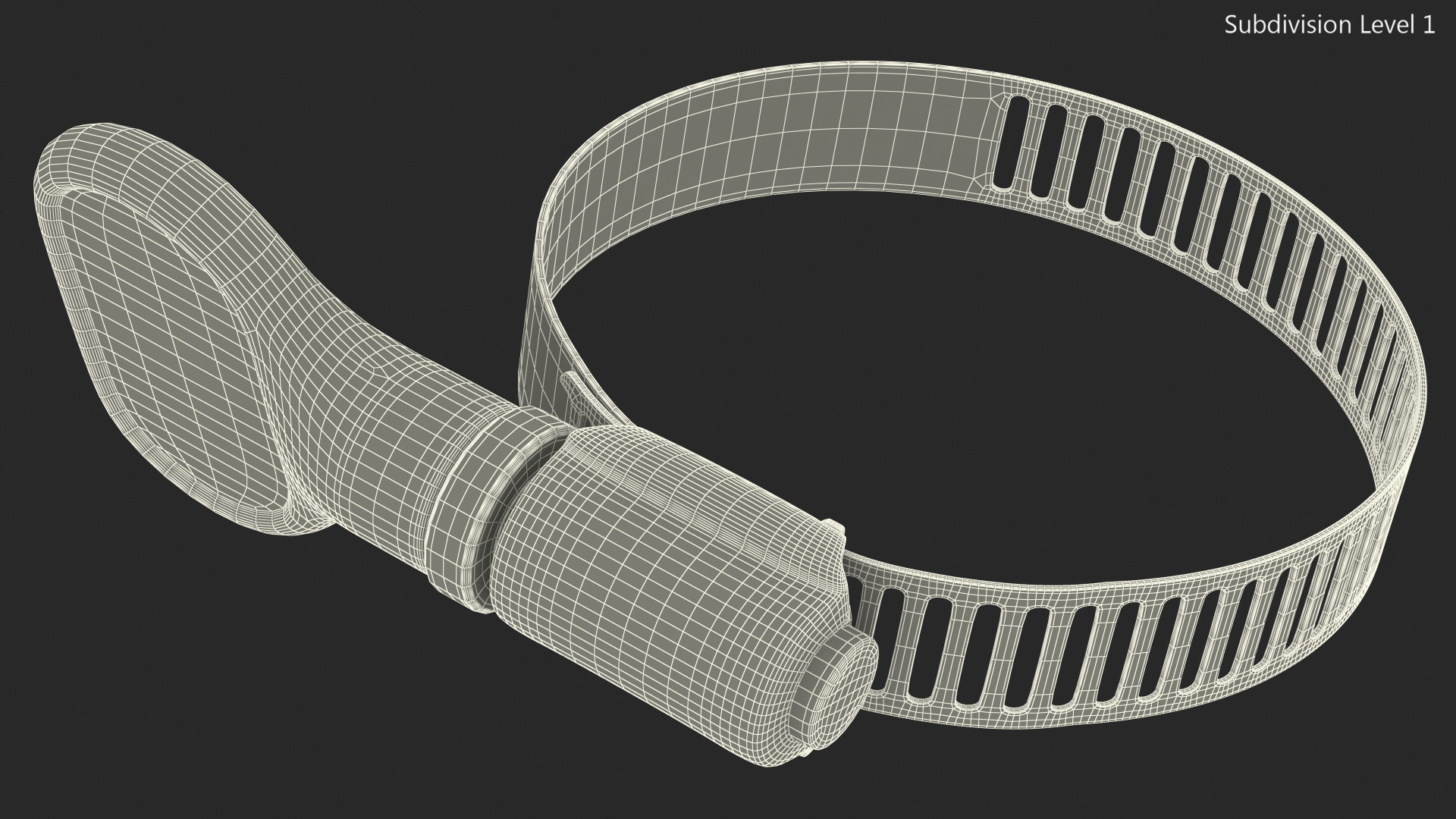 Worm Gear Hose Clamp with Key 30 44mm 3D