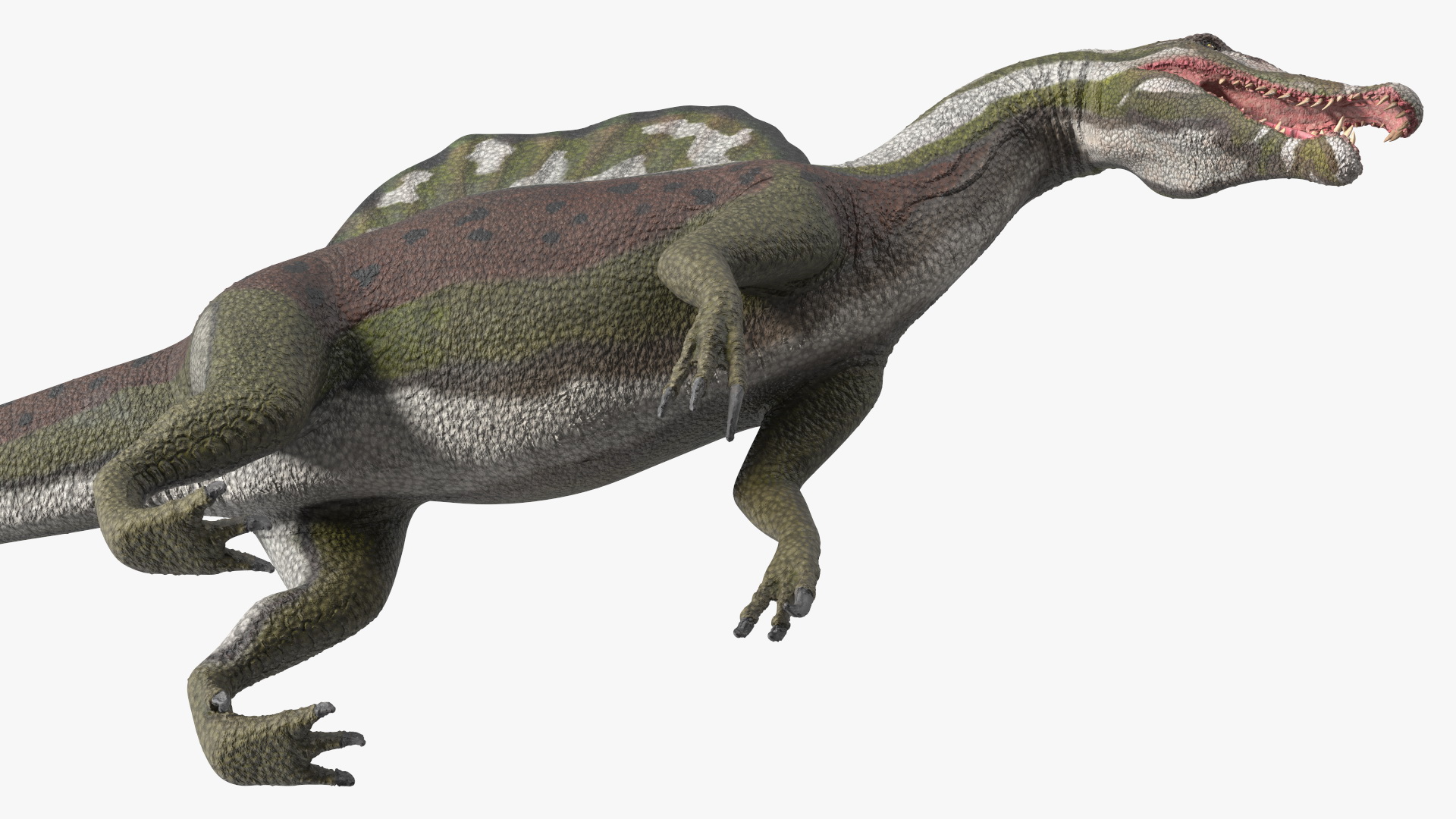 Spinosaurus Dinosaur Green Basic Pose 3D