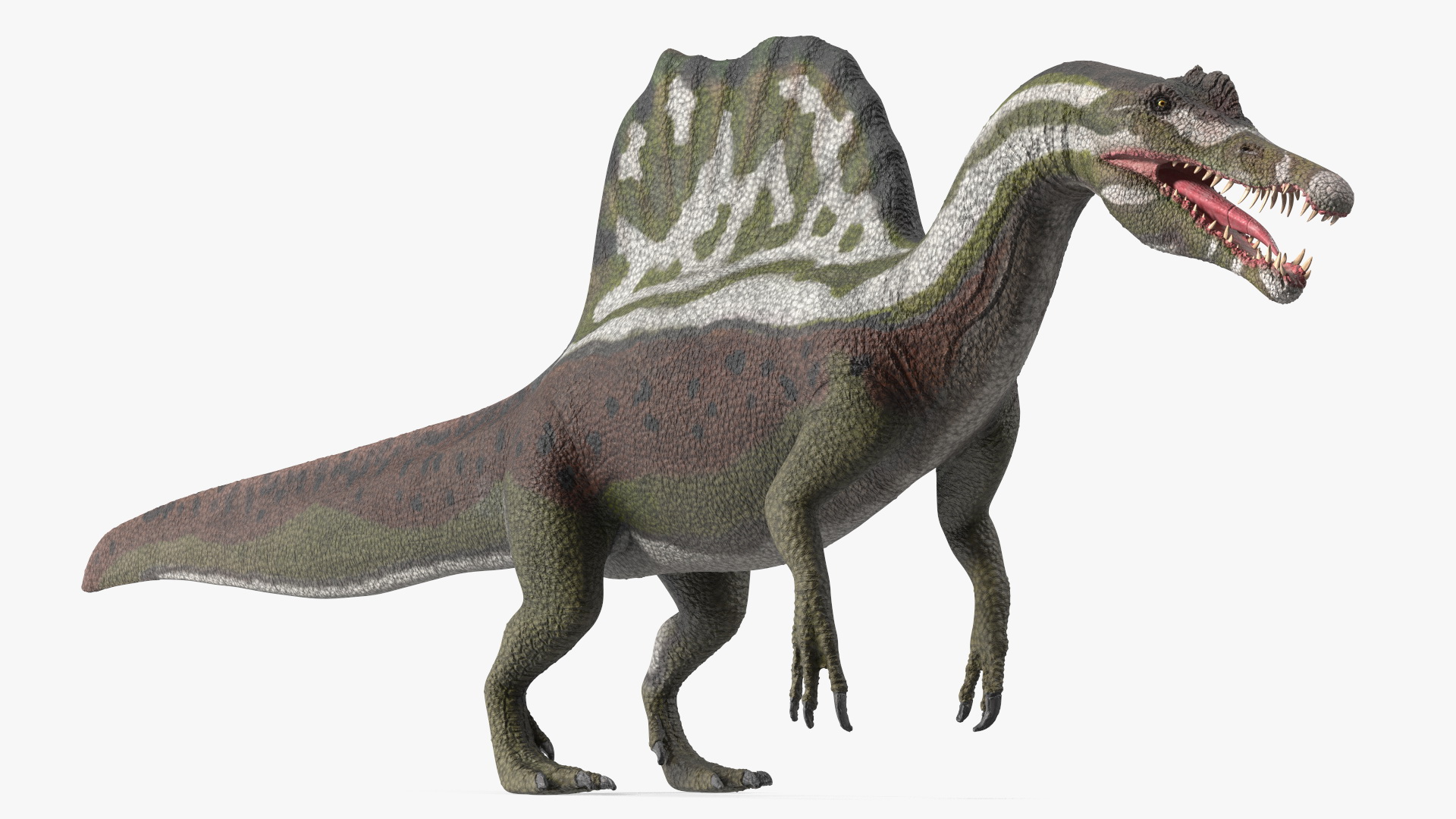 Spinosaurus Dinosaur Green Basic Pose 3D