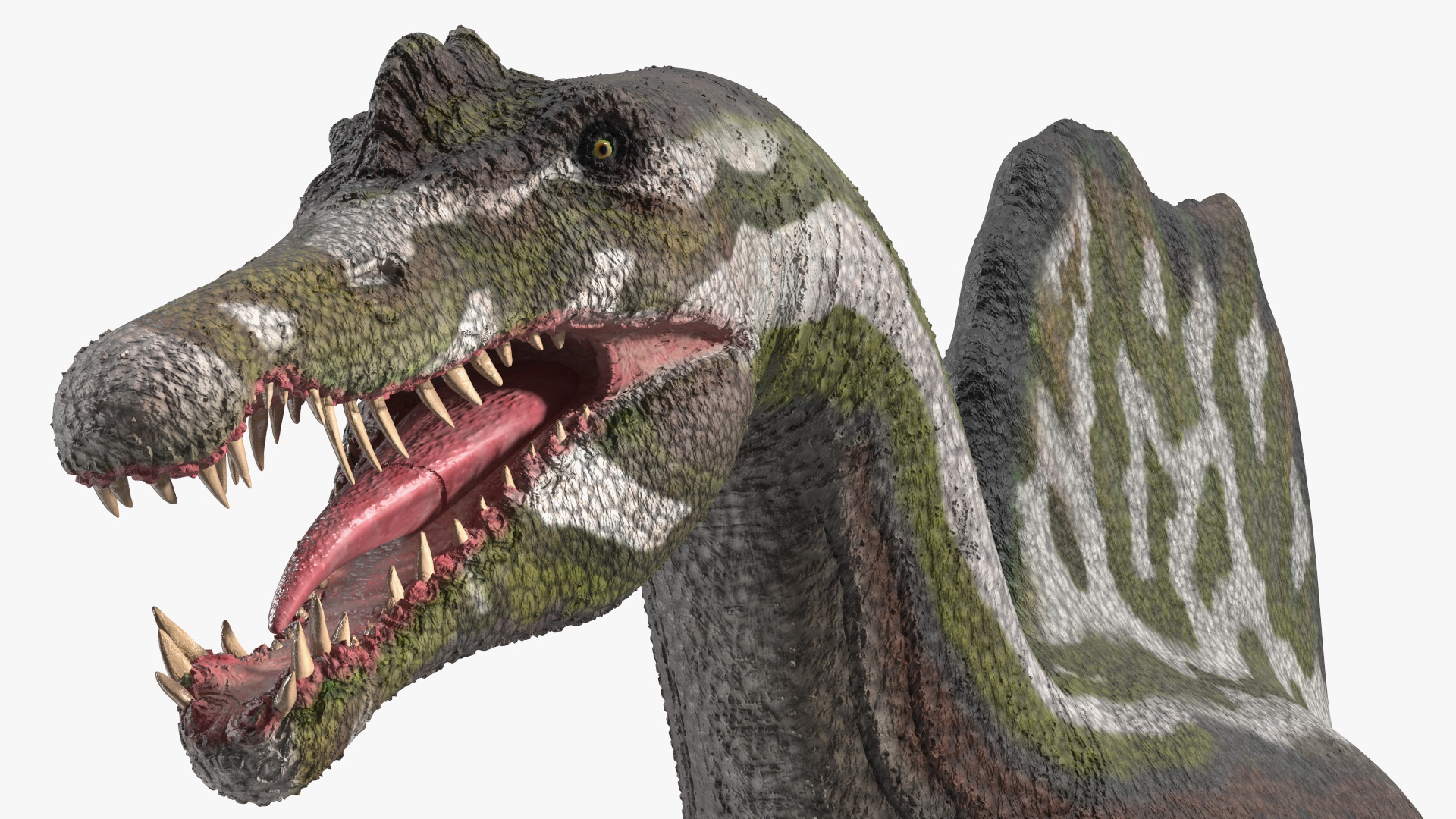 Spinosaurus Dinosaur Green Basic Pose 3D
