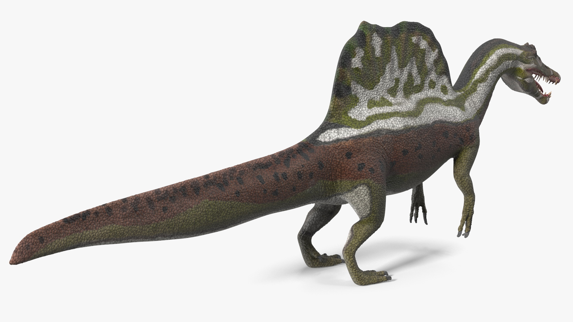 Spinosaurus Dinosaur Green Basic Pose 3D