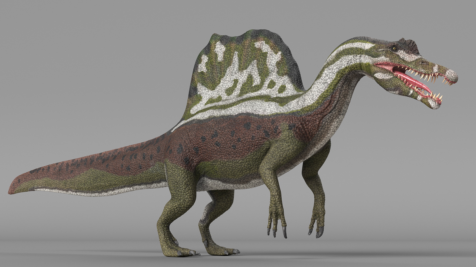 Spinosaurus Dinosaur Green Basic Pose 3D