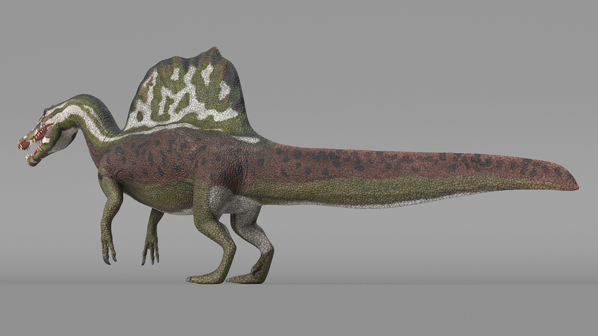 Spinosaurus Dinosaur Green Basic Pose 3D