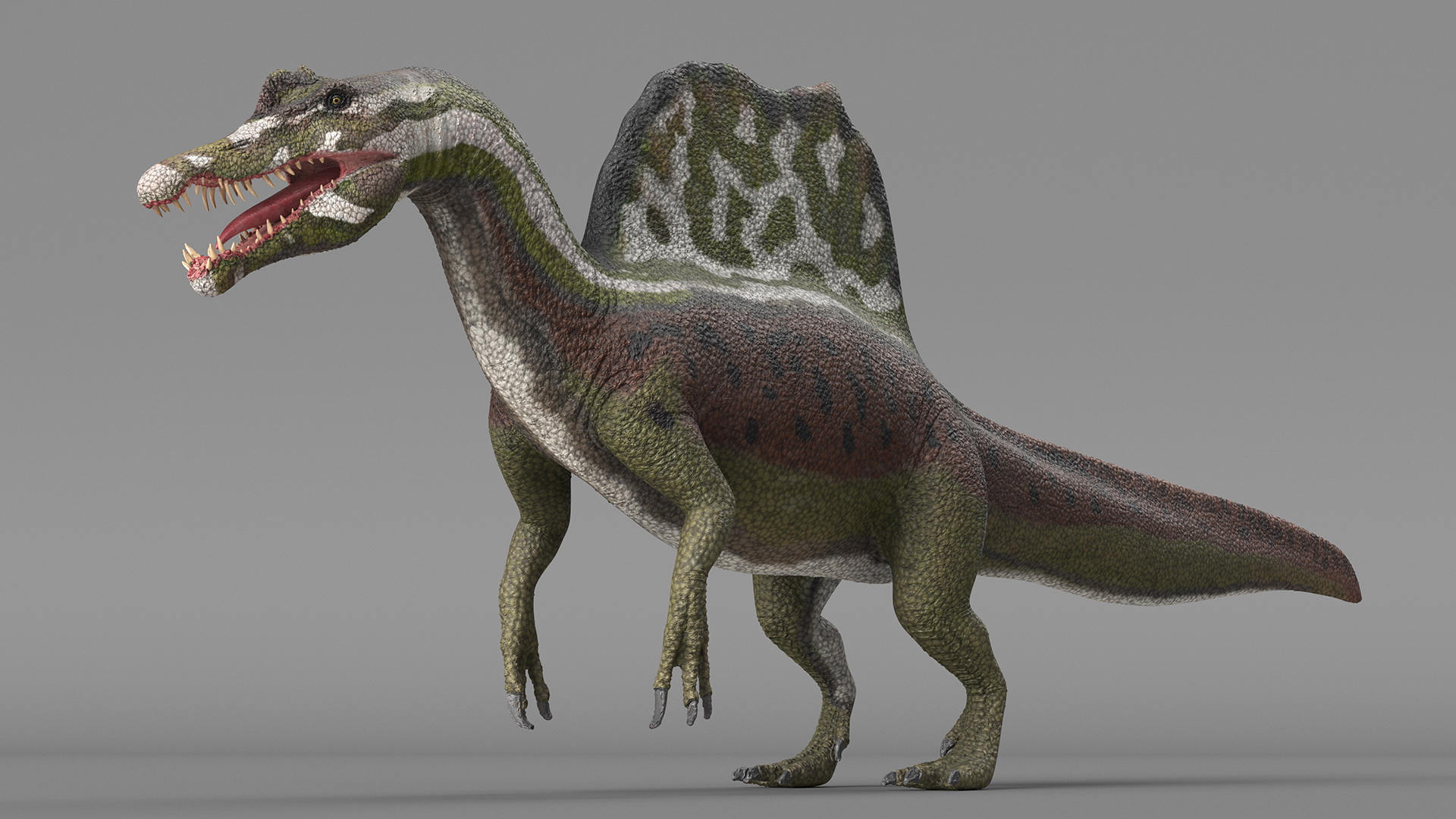 Spinosaurus Dinosaur Green Basic Pose 3D