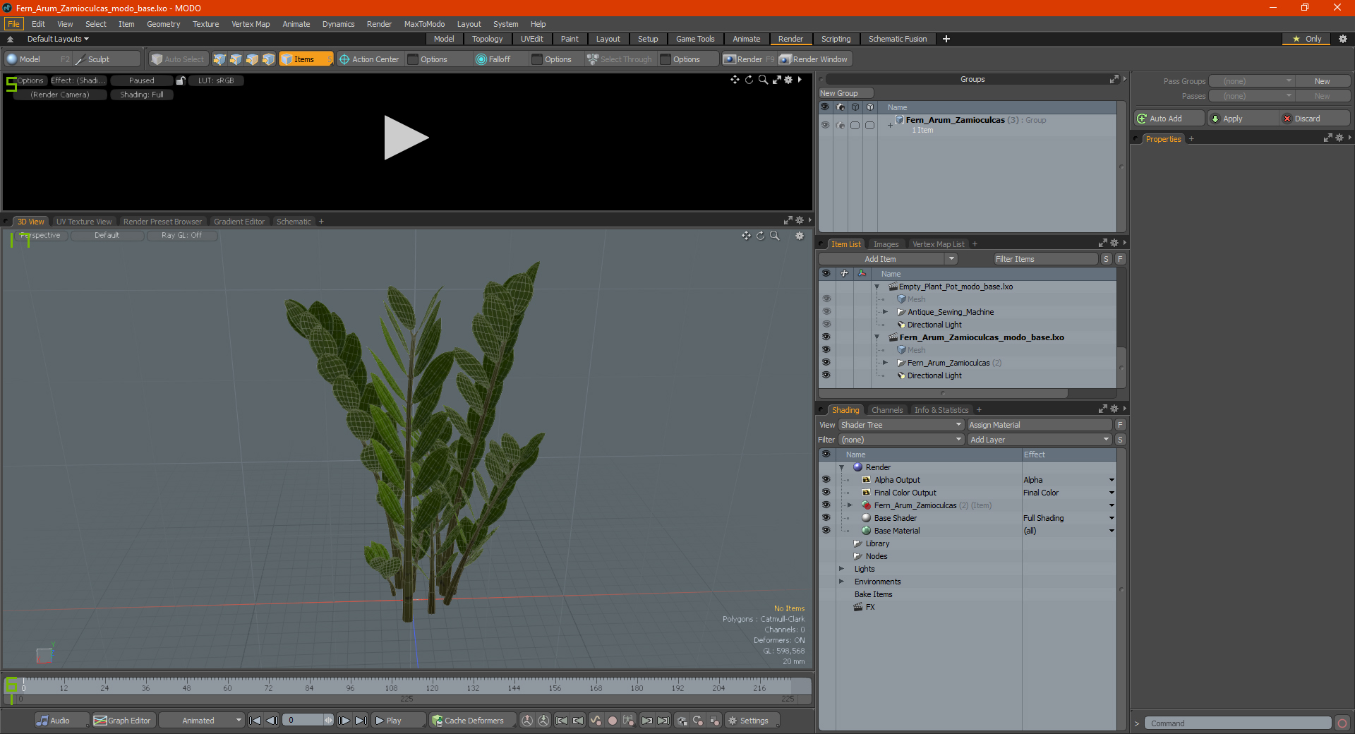 3D Fern Arum Zamioculcas