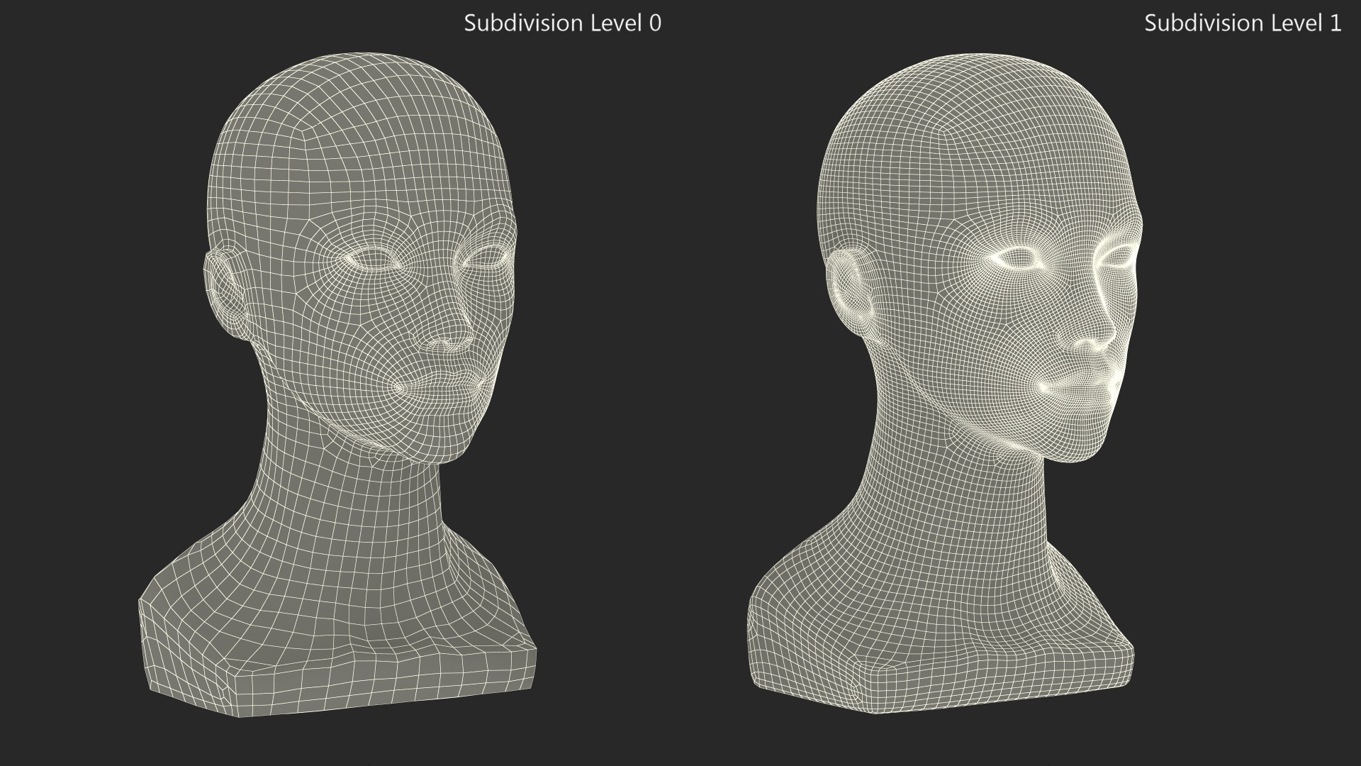 3D Black Woman Mannequin Head