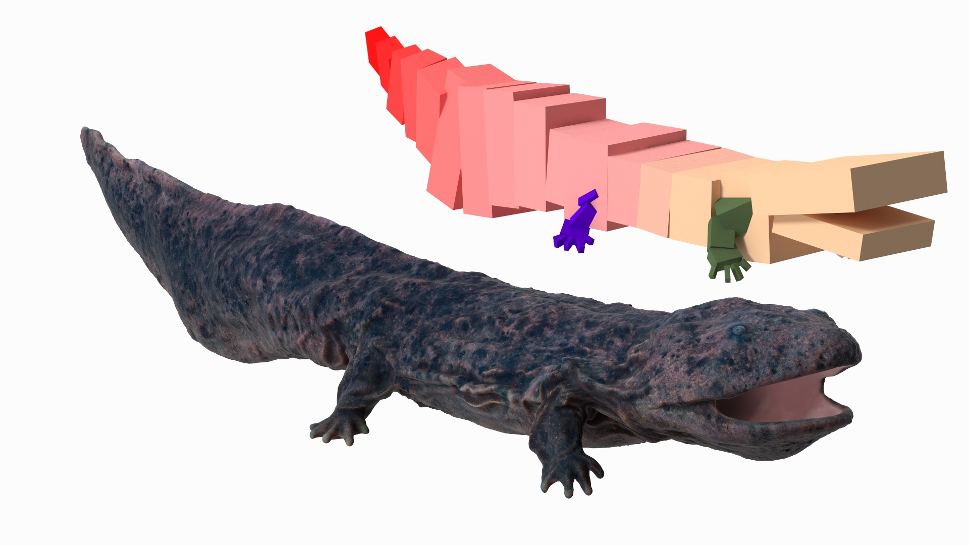 3D model Andrias Davidianus Dark Rigged