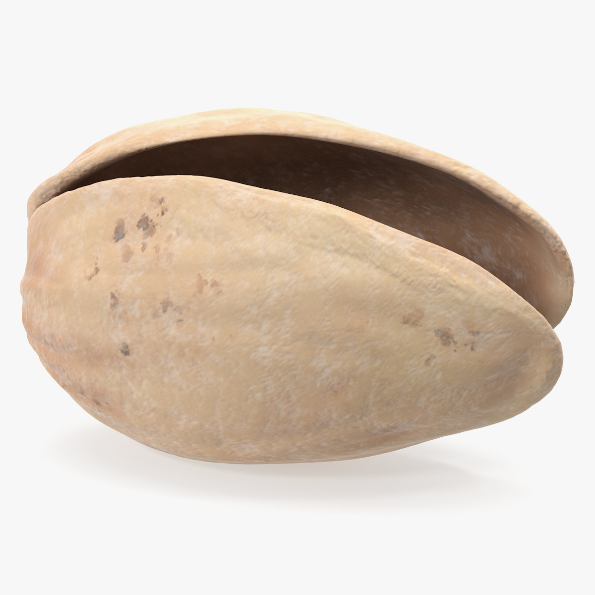Pistachio Empty Shell