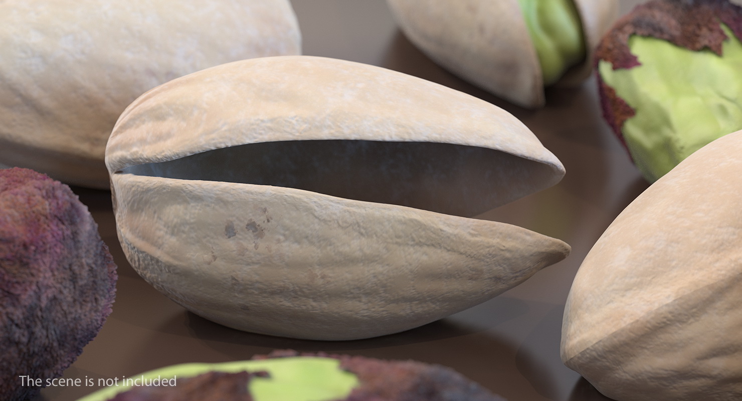 3D Pistachio Empty Shell