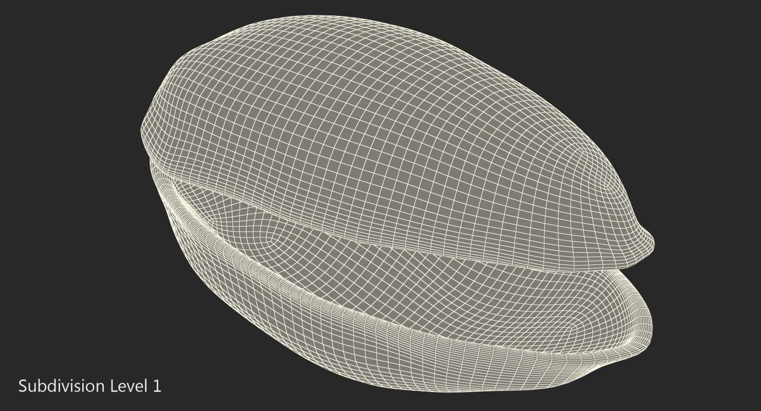 3D Pistachio Empty Shell