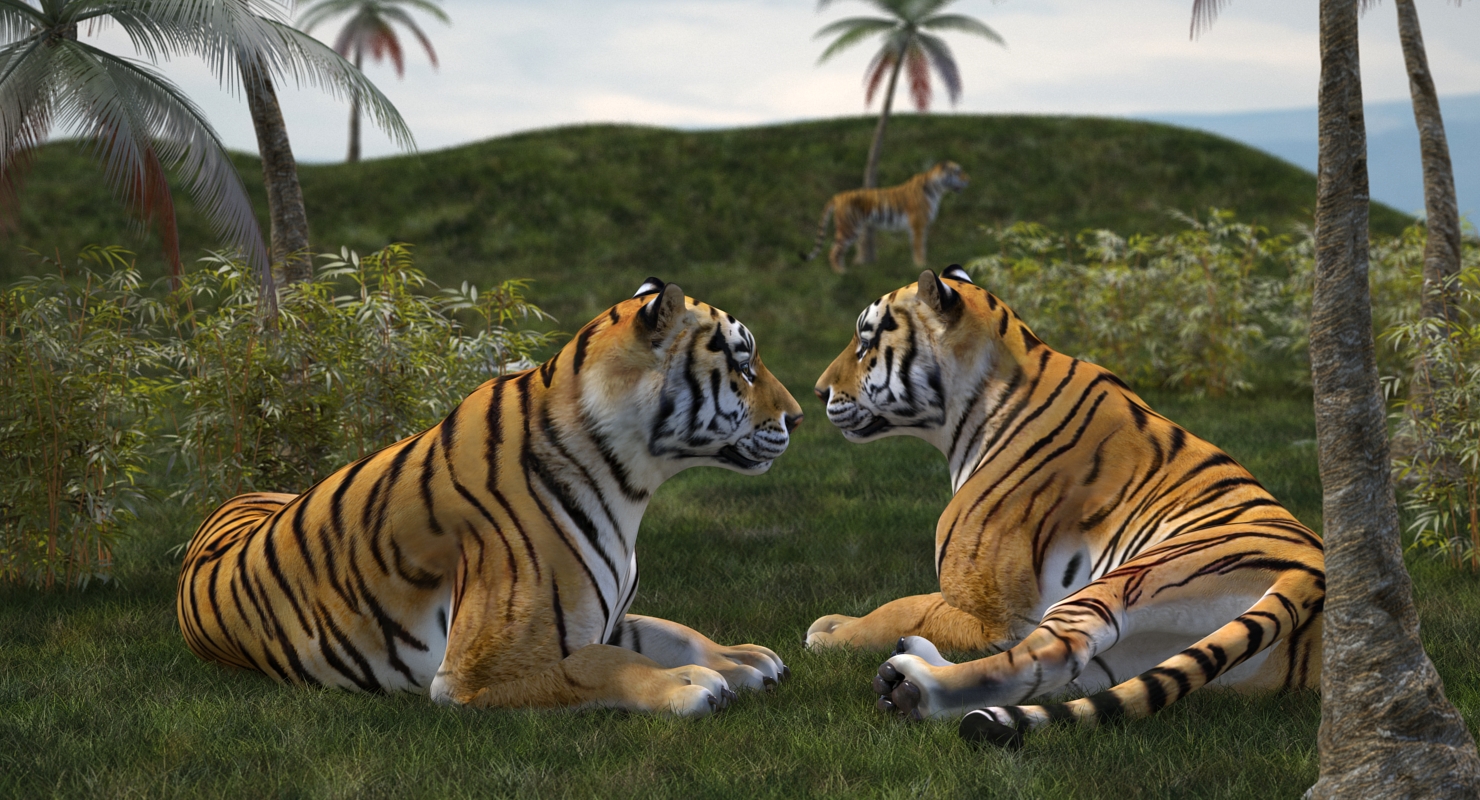 3D Lying Tiger