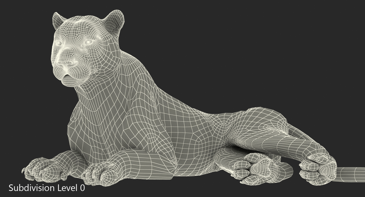 3D Lying Tiger