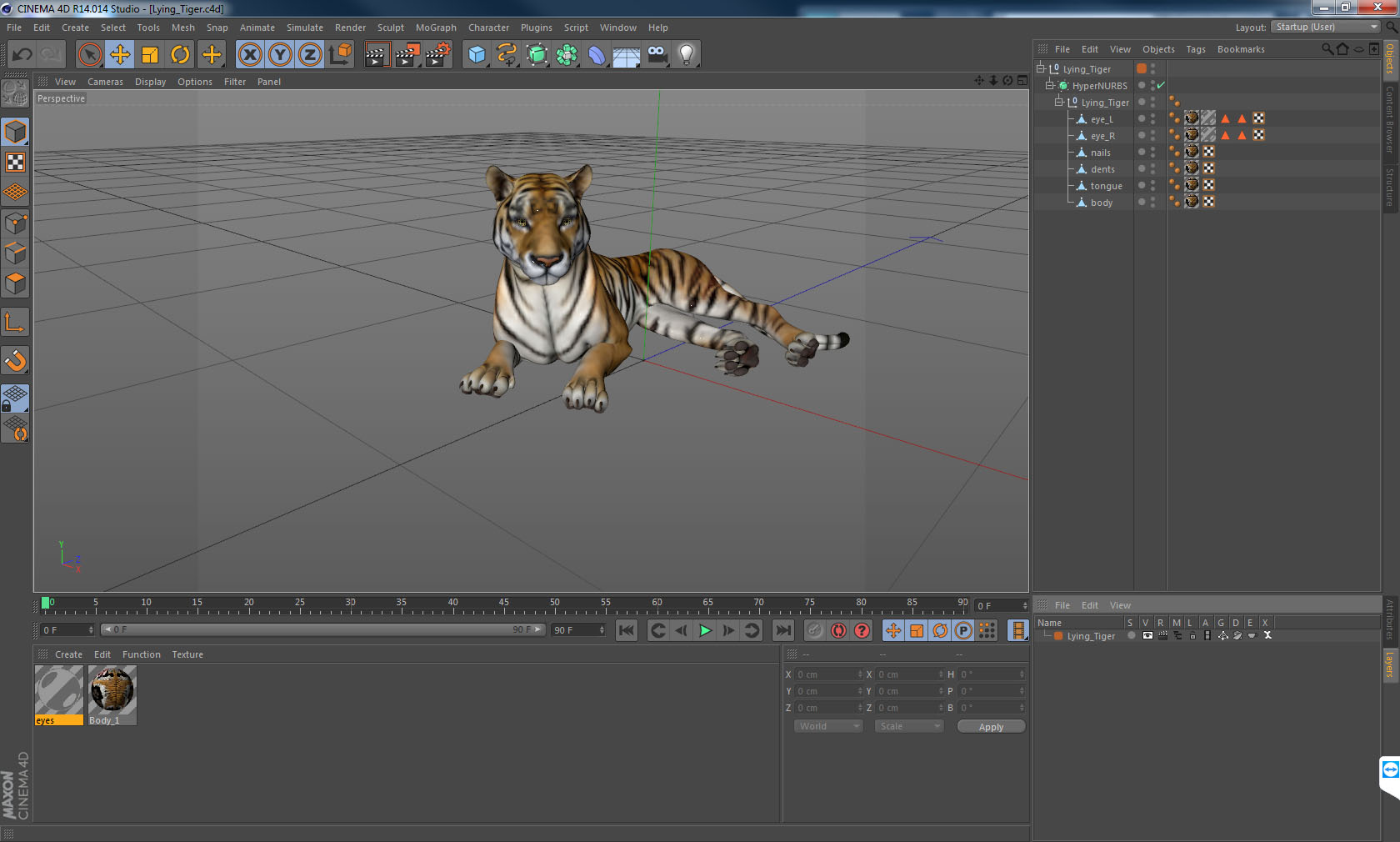 3D Lying Tiger