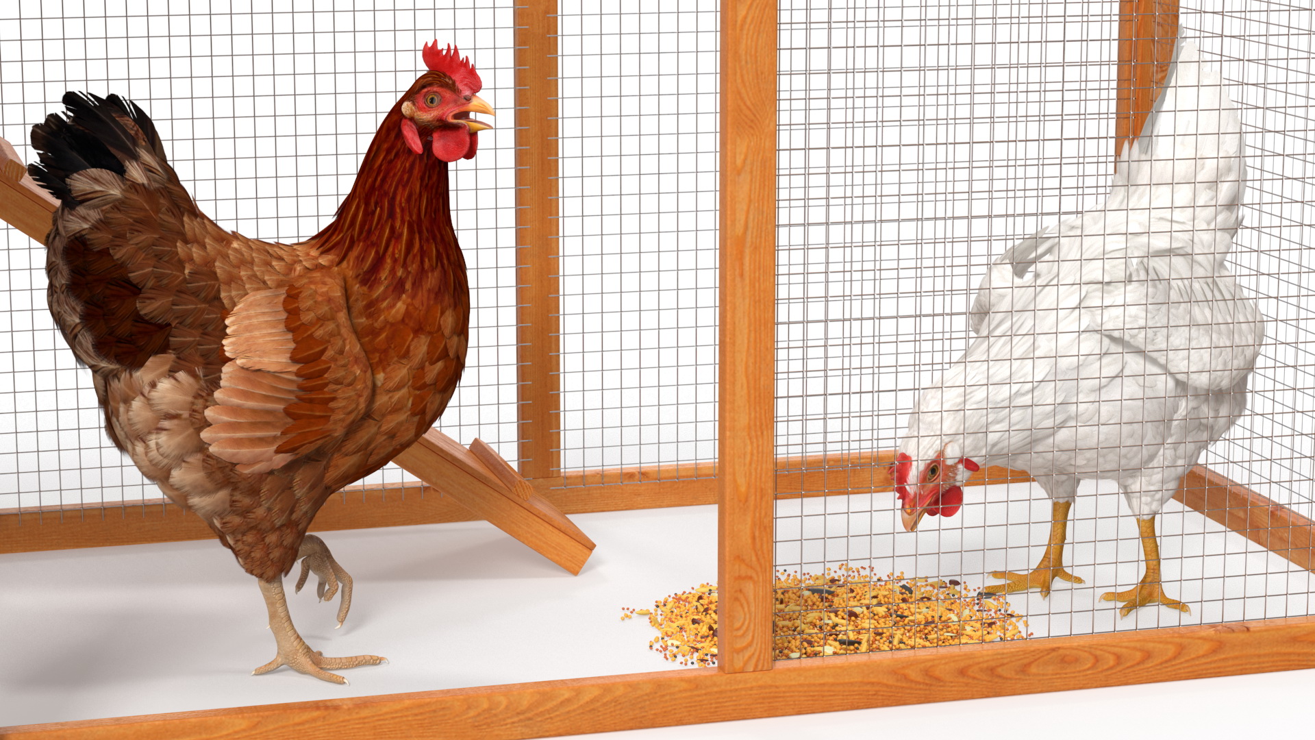 3D Wooden Small Chicken Coop with Chickens Rigged
