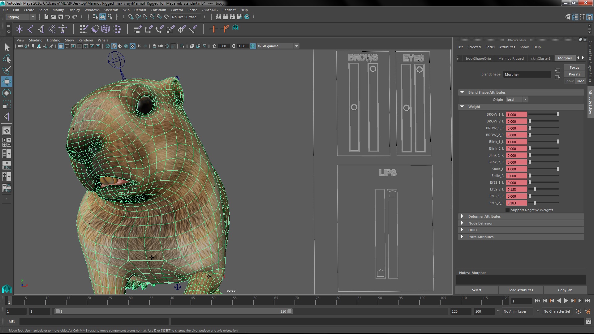 Marmot Rigged for Maya 3D