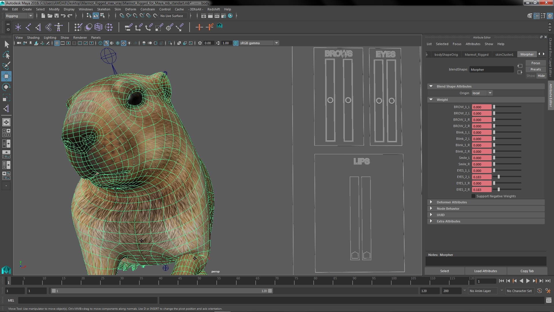 Marmot Rigged for Maya 3D