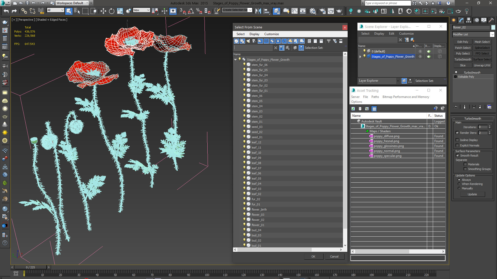 Stages of Poppy Flower Growth 3D model