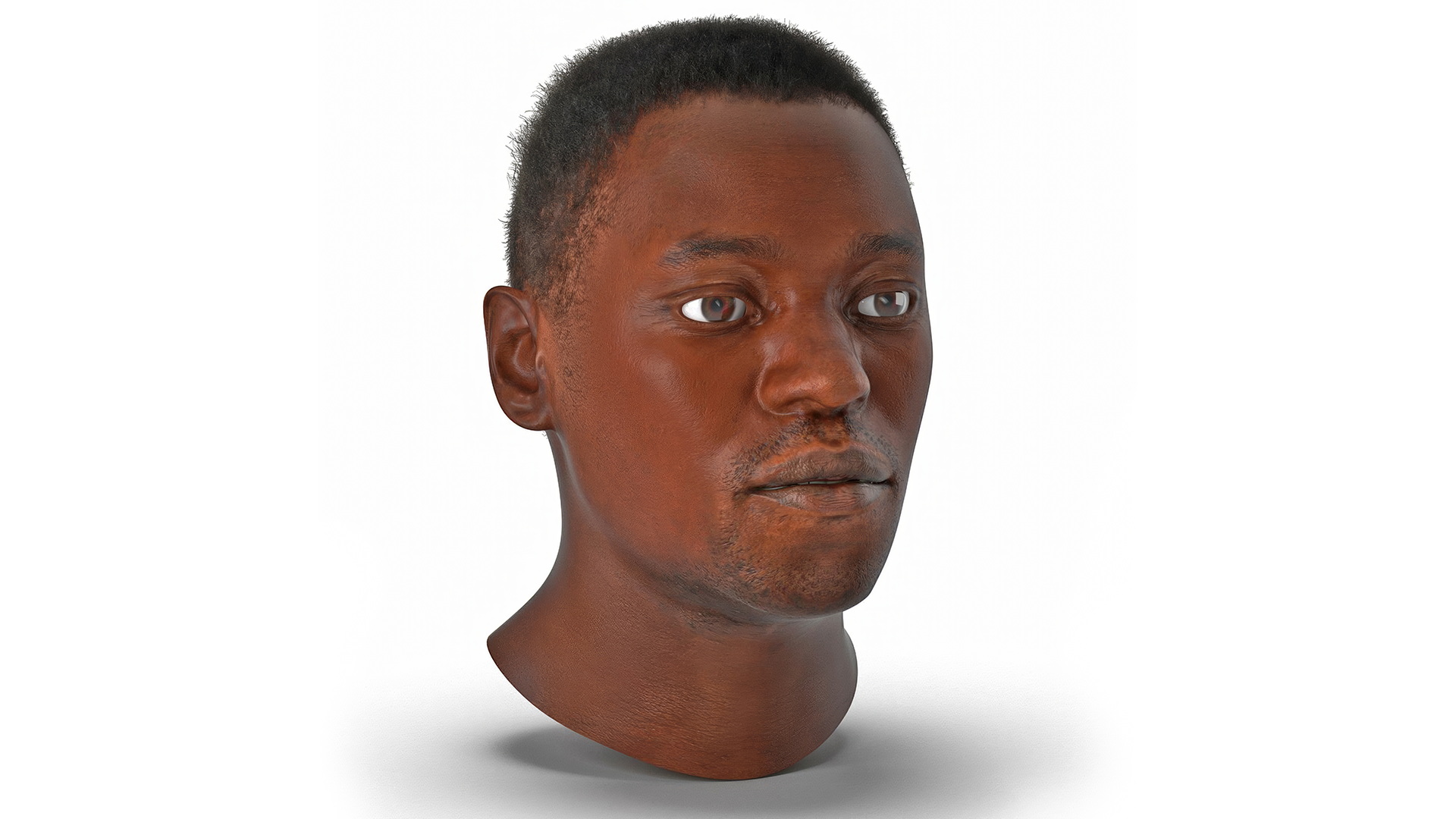 African American Male Head Rigged Fur 3D