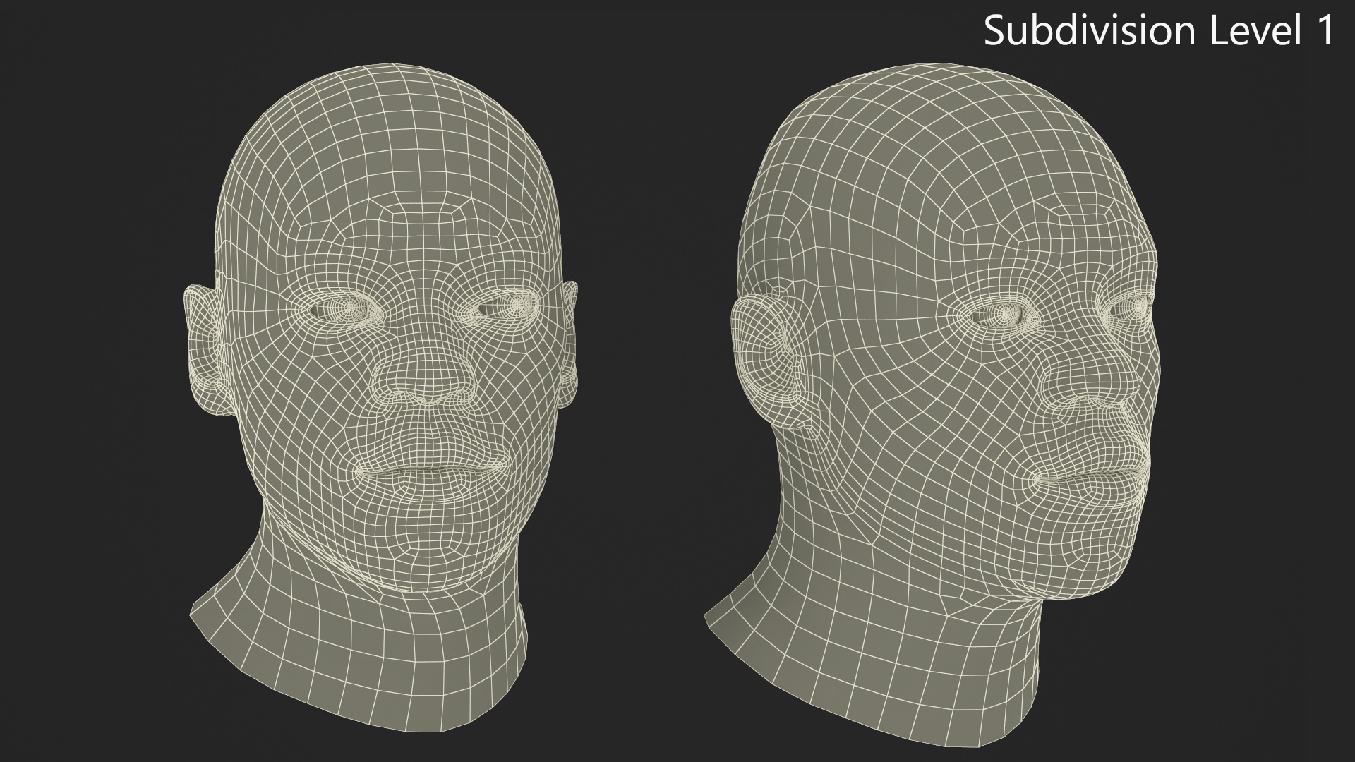 African American Male Head Rigged Fur 3D