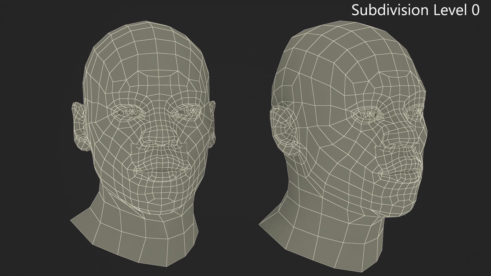 African American Male Head Rigged Fur 3D