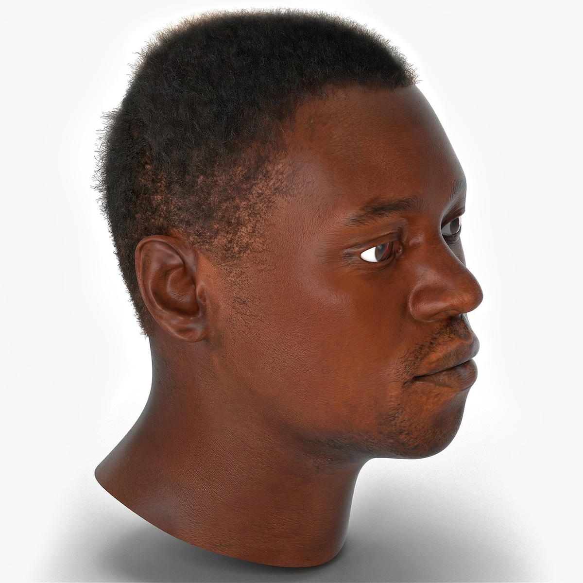 African American Male Head Rigged Fur 3D