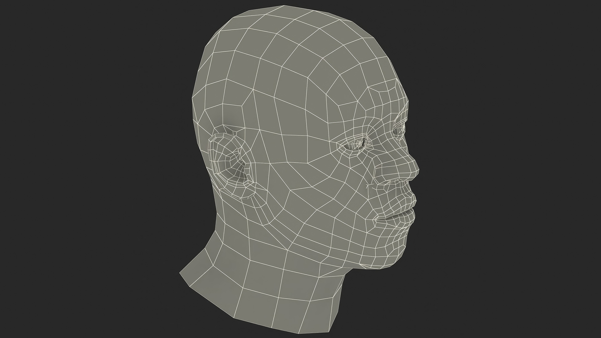 African American Male Head Rigged Fur 3D