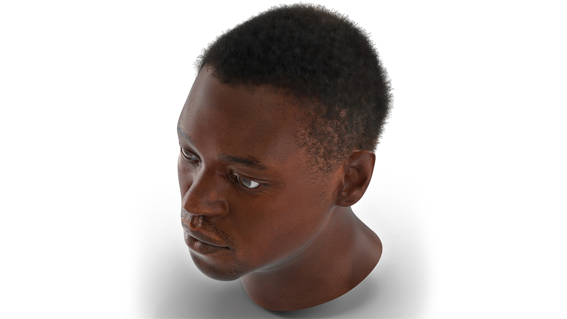 African American Male Head Rigged Fur 3D