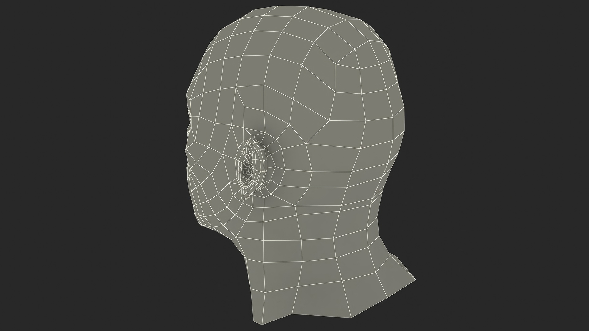 African American Male Head Rigged Fur 3D