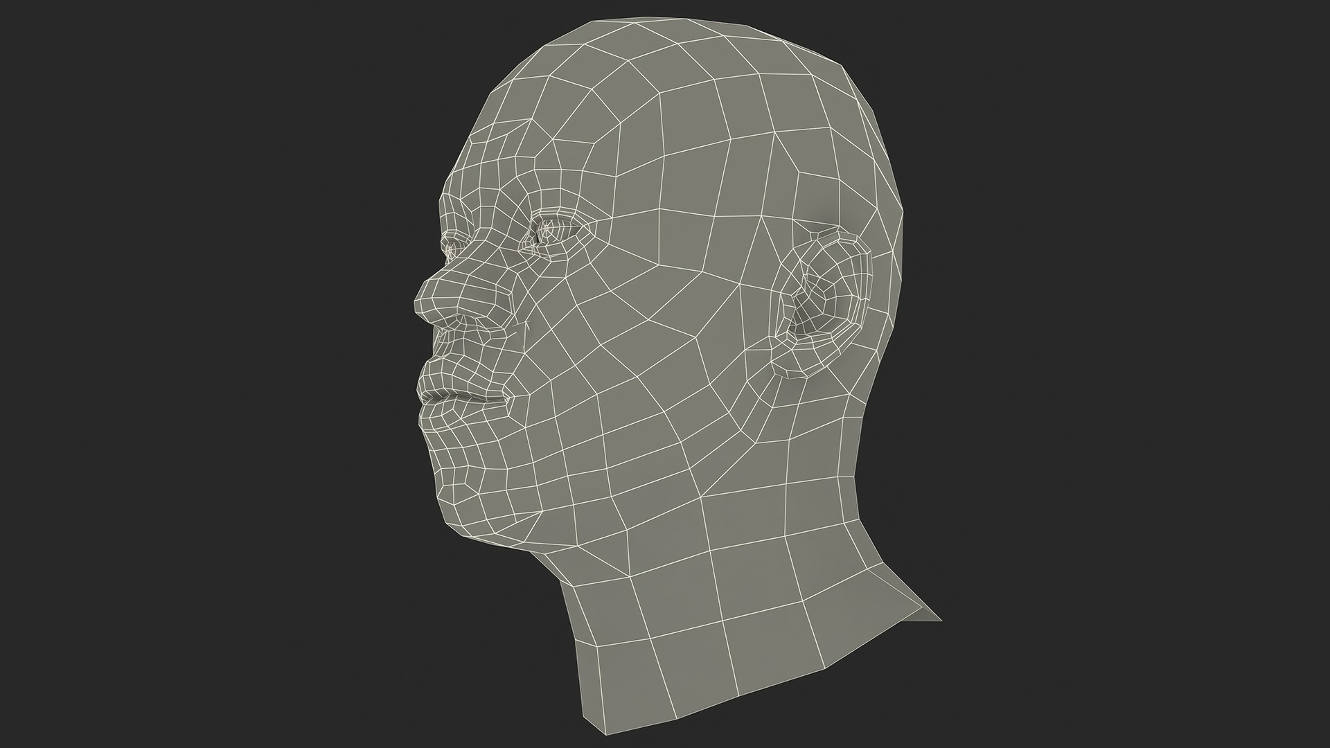 African American Male Head Rigged Fur 3D