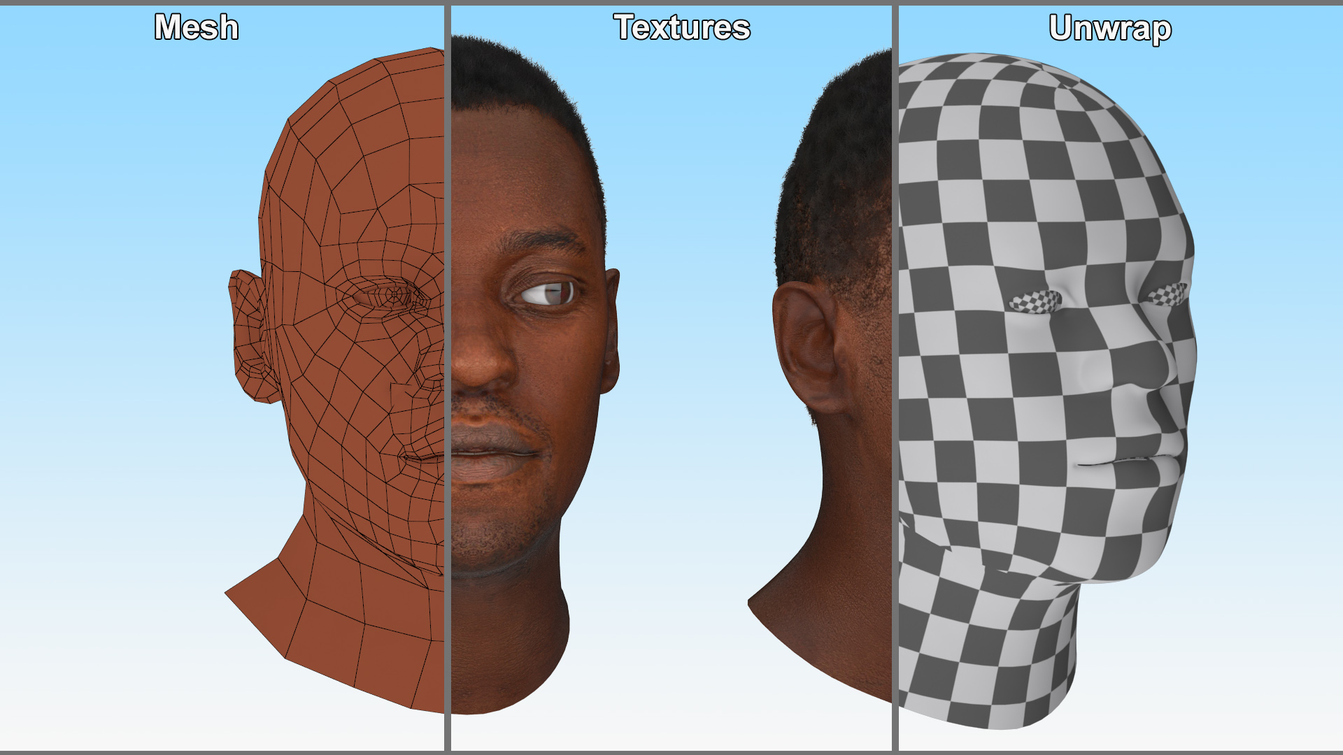African American Male Head Rigged Fur 3D