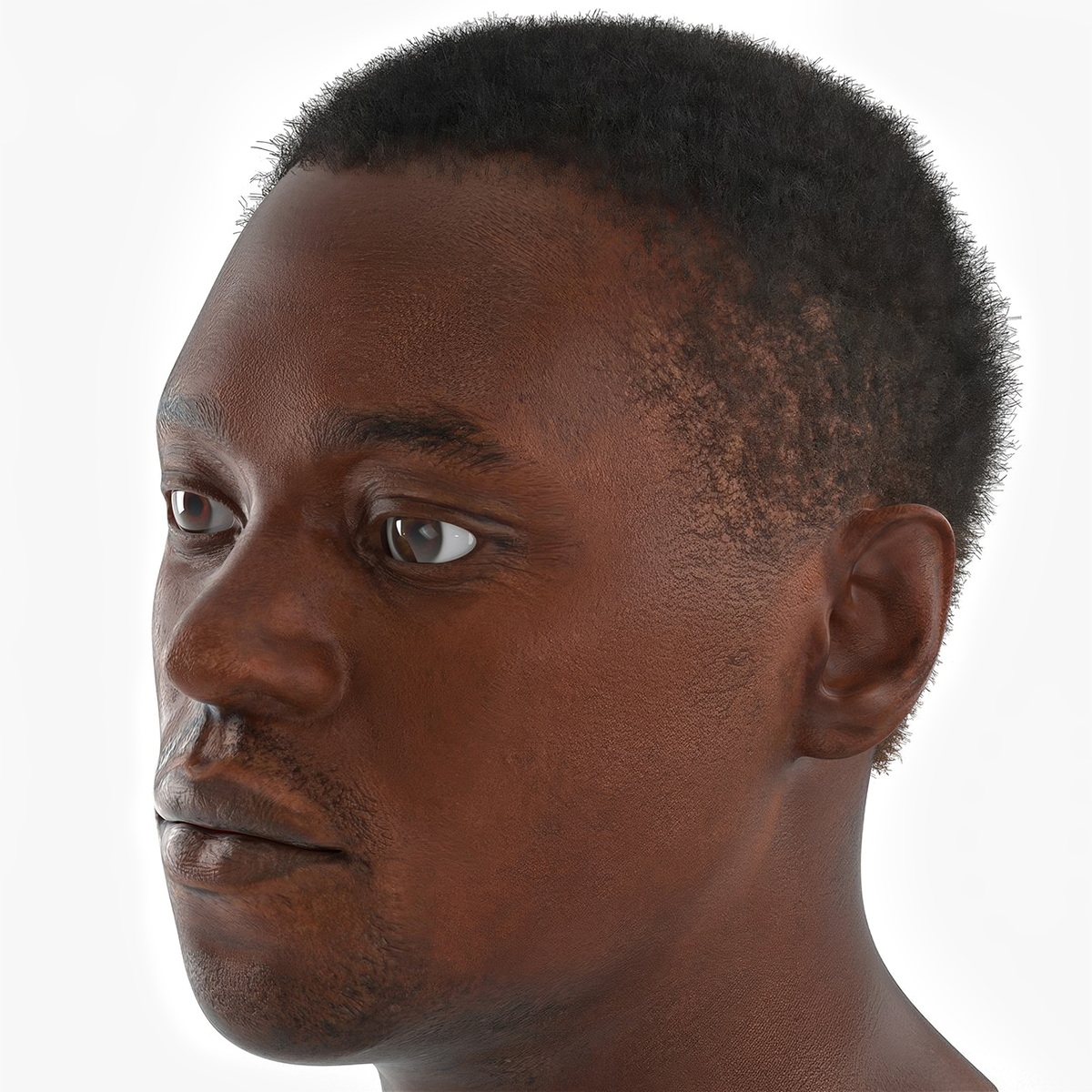 African American Male Head Rigged Fur 3D