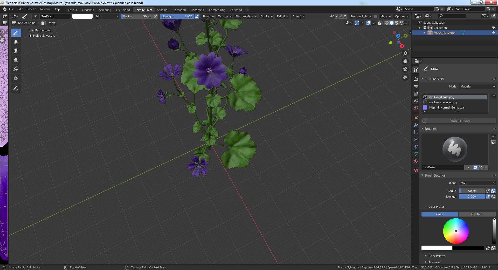 3D Malva Sylvestris