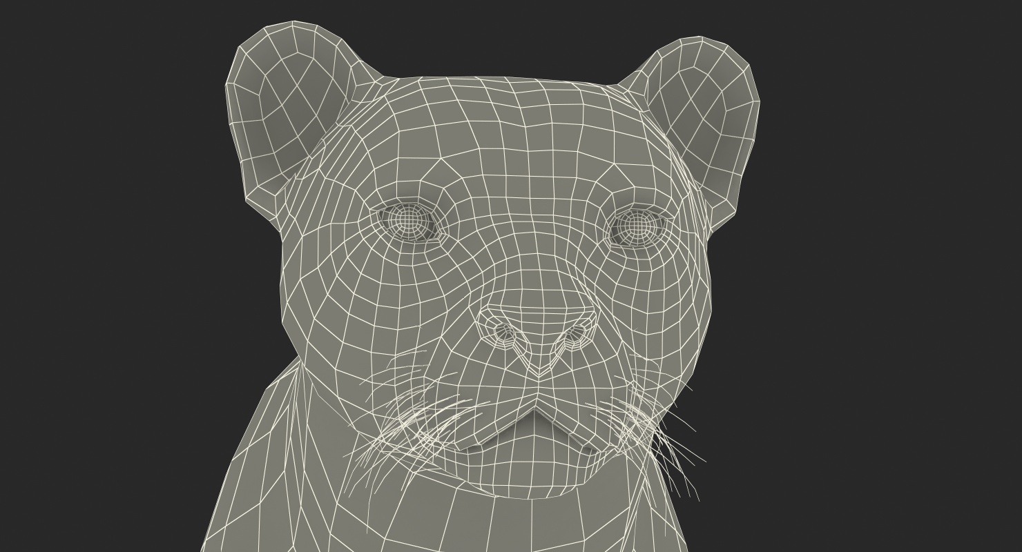 Cheetah Rigged 3D model