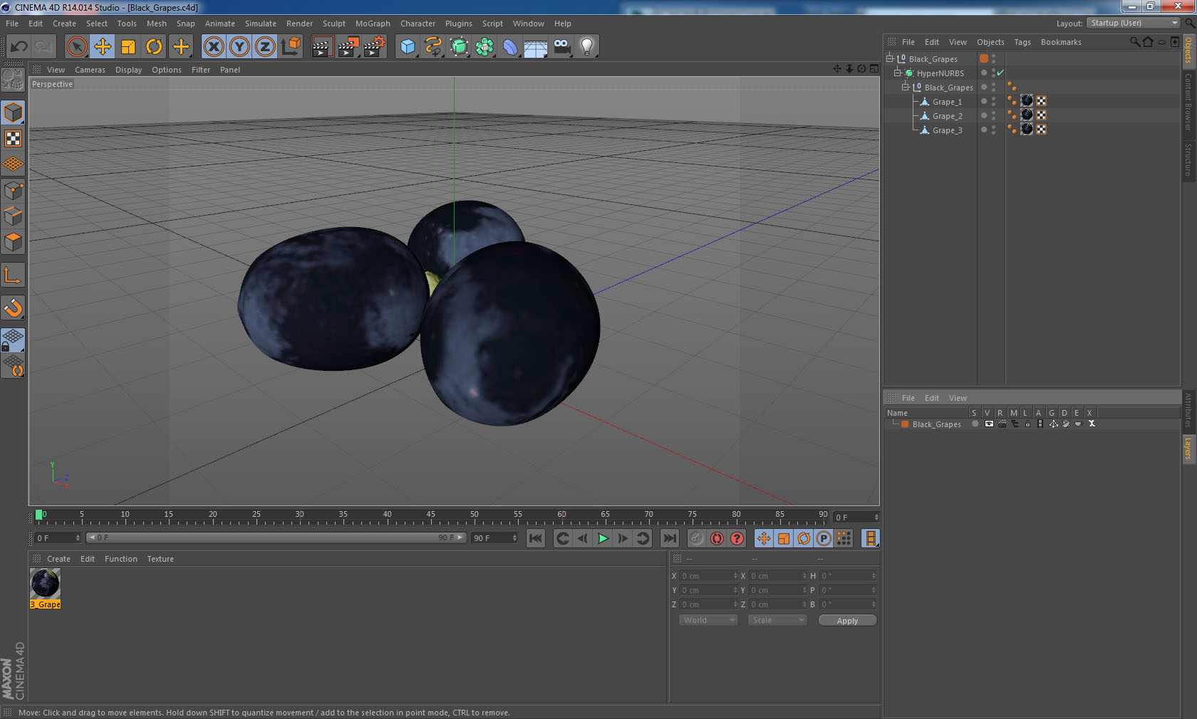 Black Grapes 3D