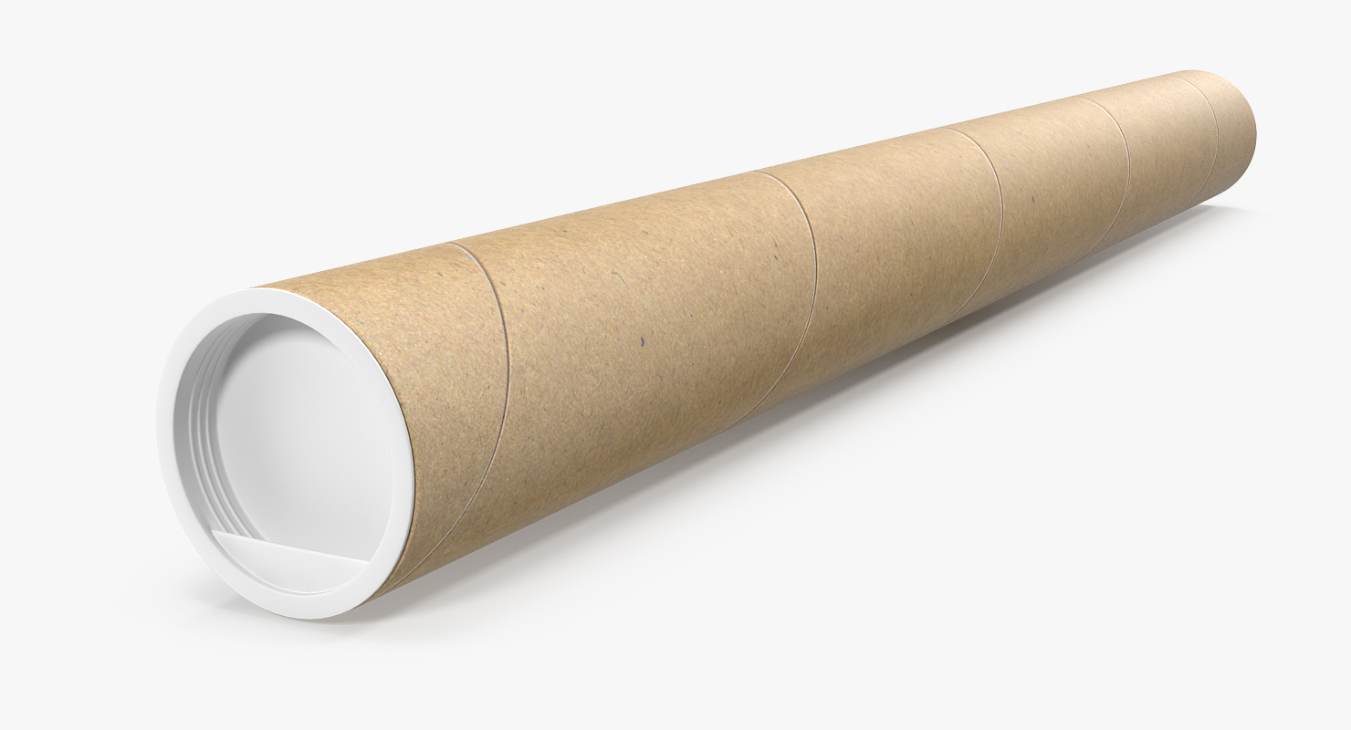 Cardboard Tube 3D model