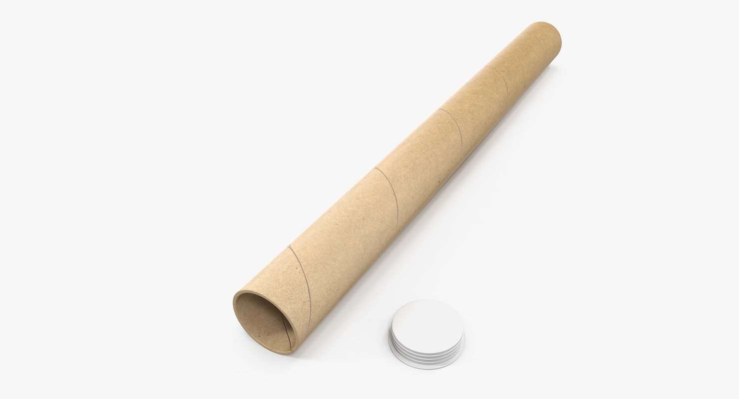 Cardboard Tube 3D model