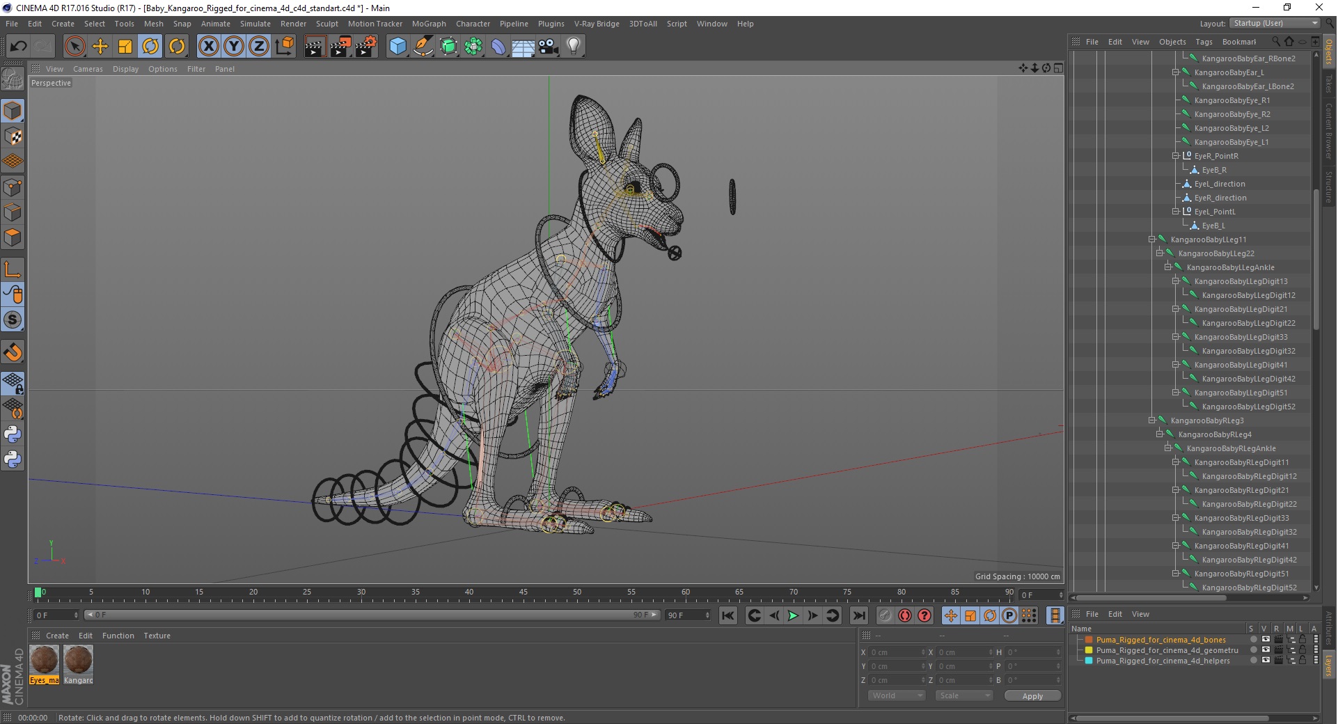 Baby Kangaroo Rigged for Cinema 4D 3D model