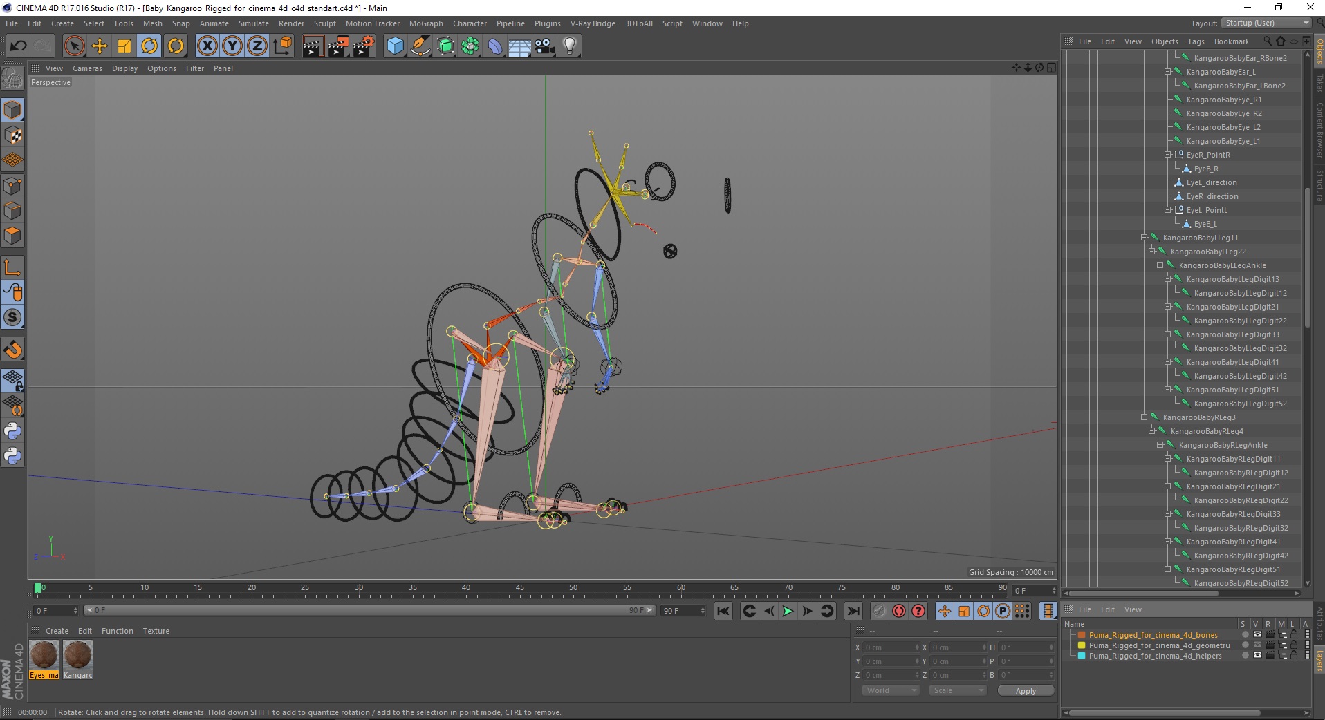Baby Kangaroo Rigged for Cinema 4D 3D model