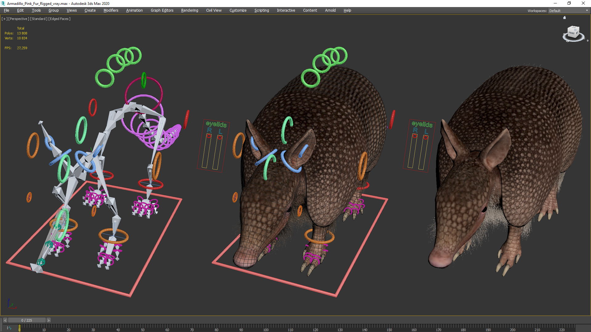 3D model Armadillo Pink Fur Rigged
