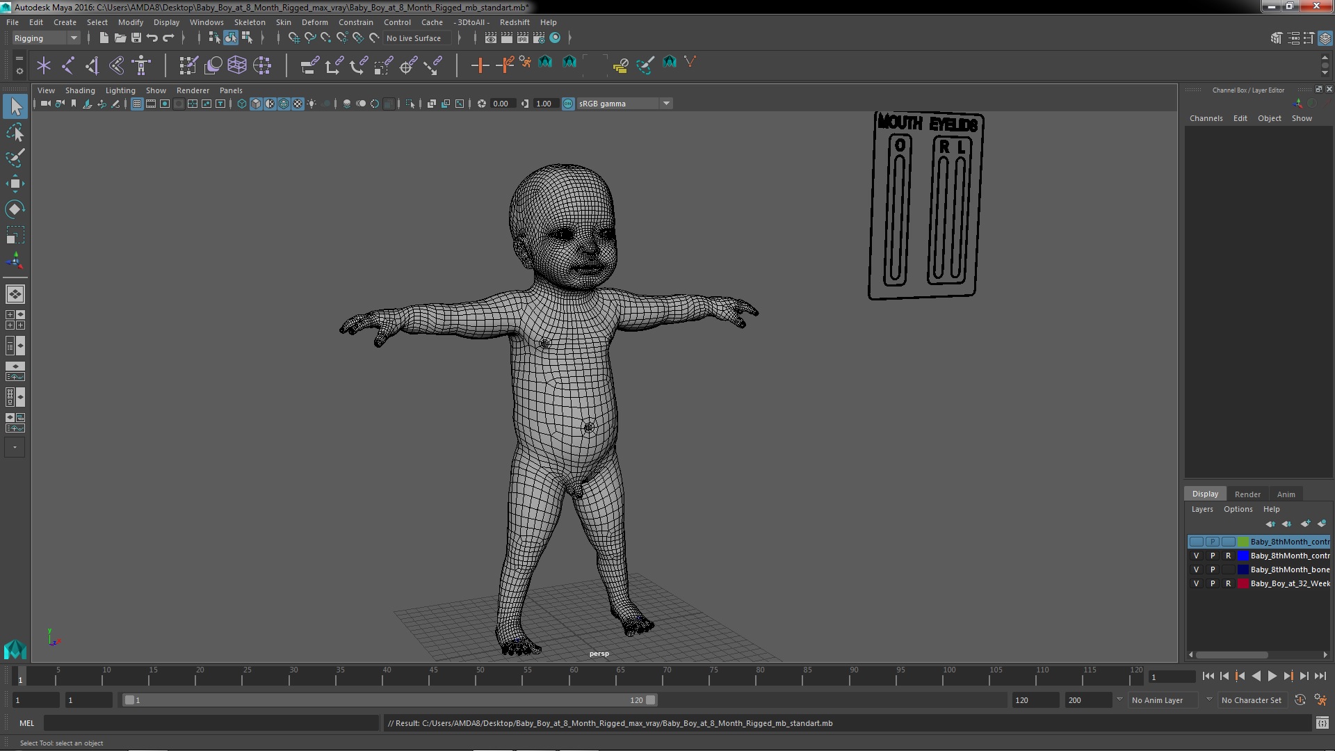 3D model Baby Boy at 8 Month Rigged for Maya