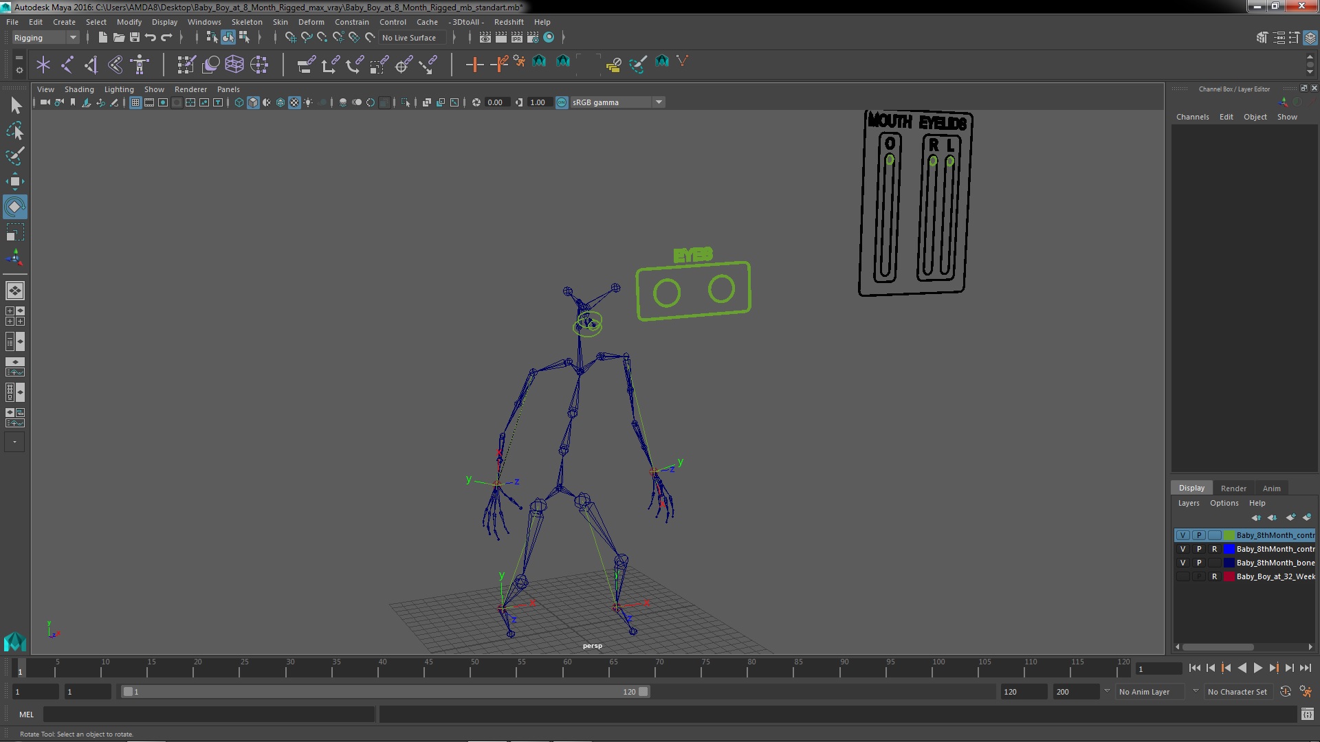 3D model Baby Boy at 8 Month Rigged for Maya