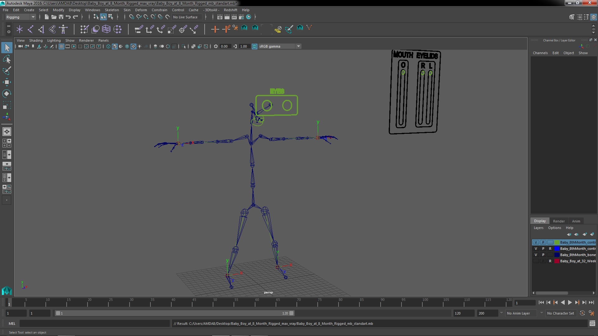 3D model Baby Boy at 8 Month Rigged for Maya