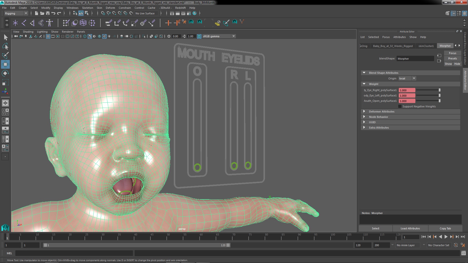 3D model Baby Boy at 8 Month Rigged for Maya