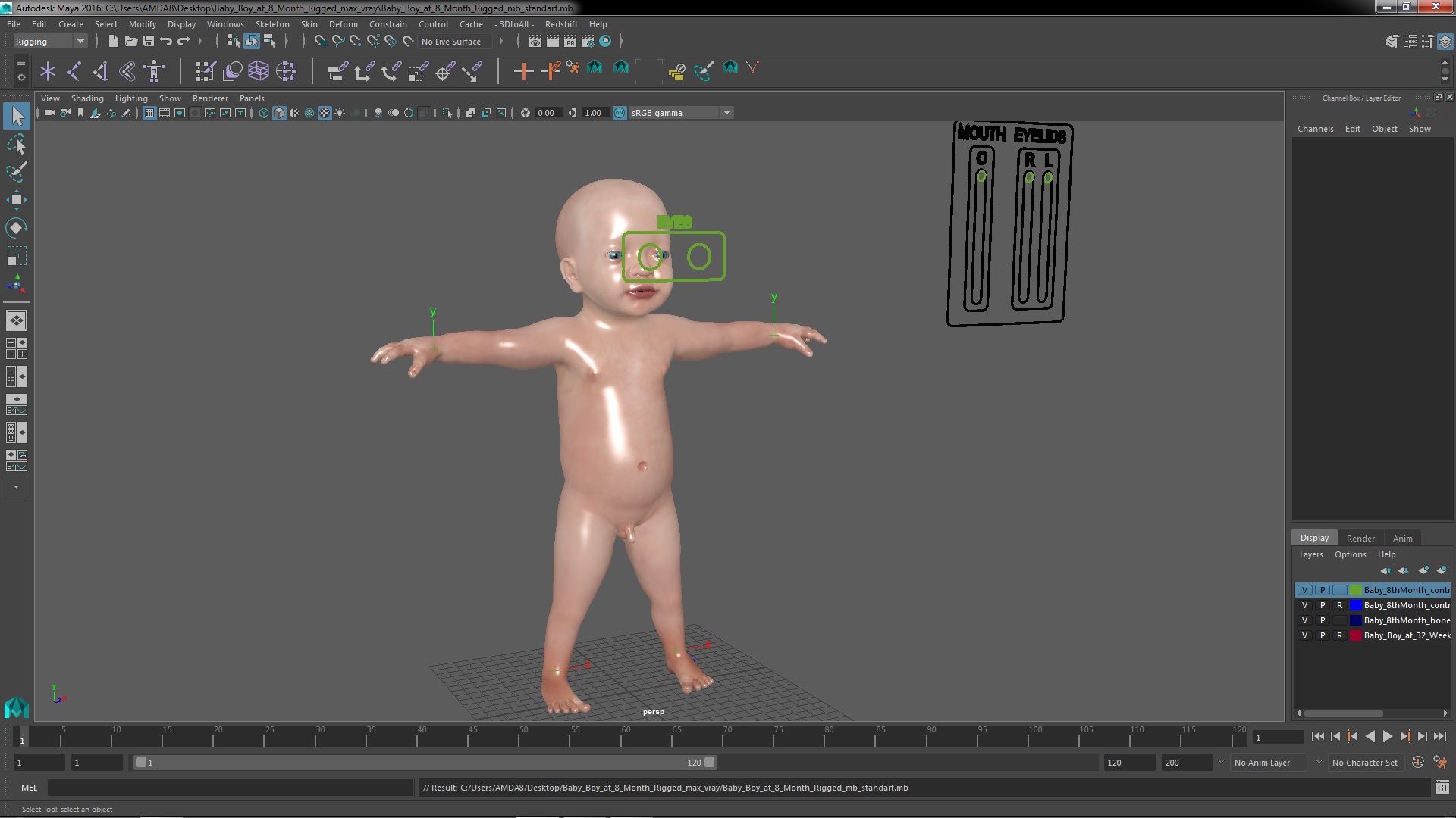 3D model Baby Boy at 8 Month Rigged for Maya