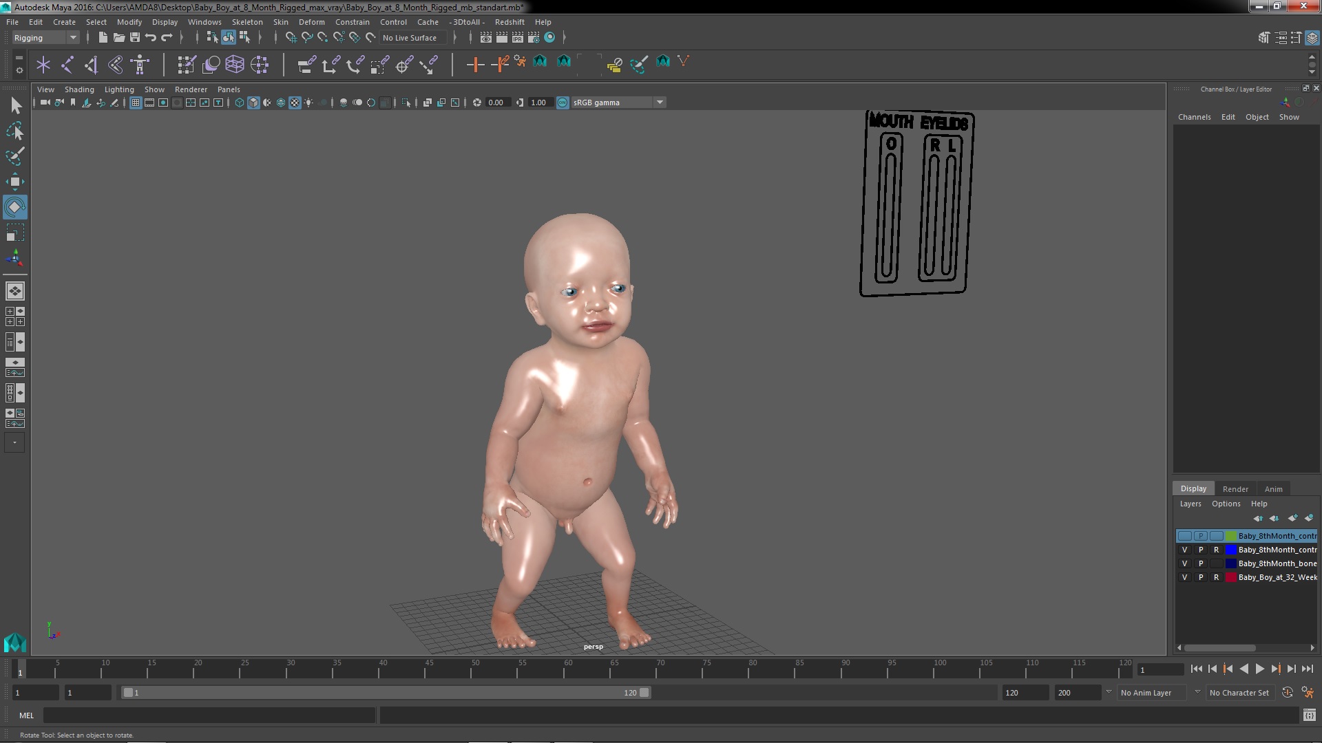 3D model Baby Boy at 8 Month Rigged for Maya